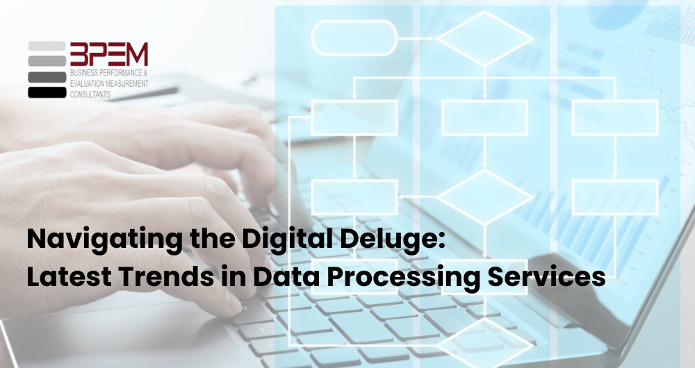 What is Data Processing Services (2)